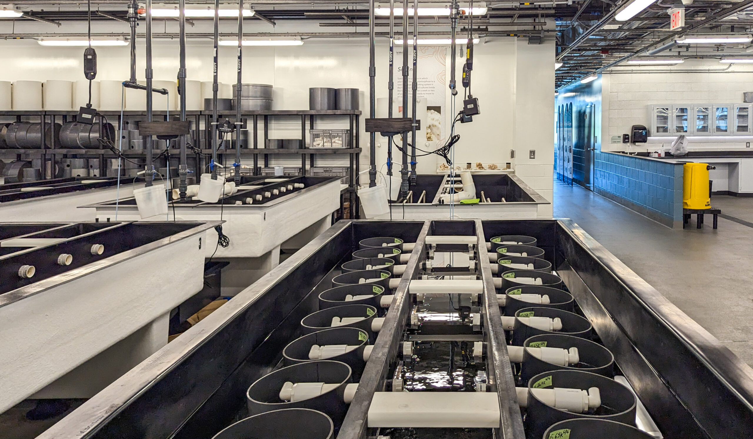 Norfolk State University Brown Hall Replacement, Norfolk, VA